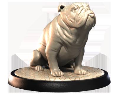British Bulldog (2)